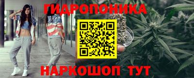 apvp Дубна