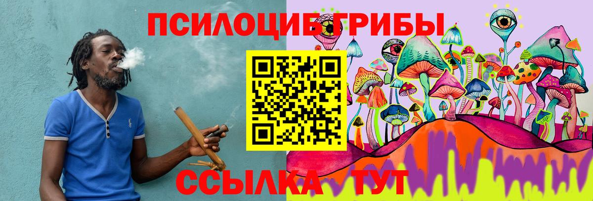 Галлюциногенные грибы мухоморы Зеленогорск