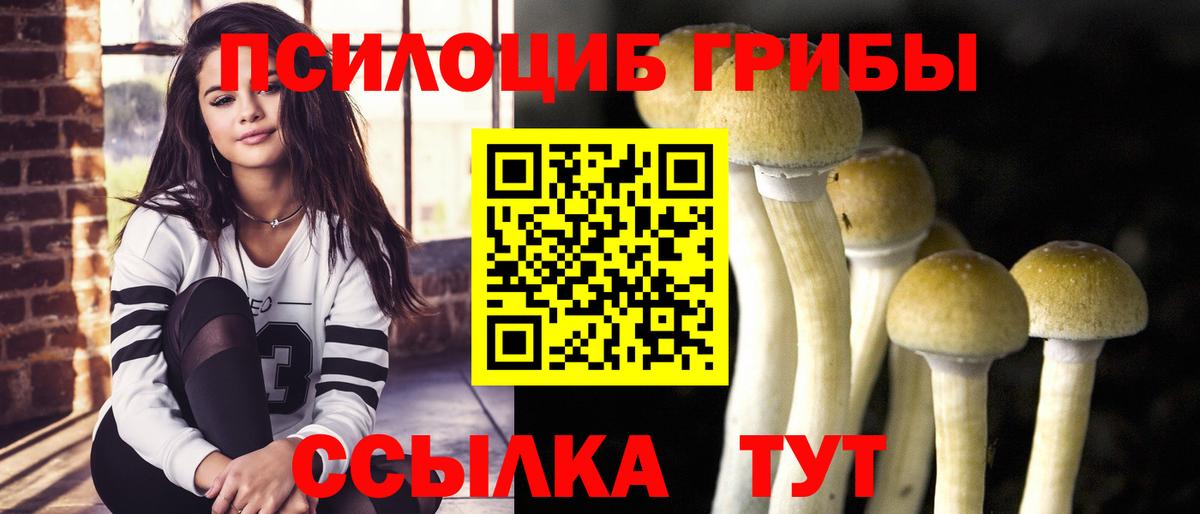 Галлюциногенные грибы ЛСД  Вход с VPN  Зеленогорск 